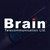 Brain Telecommunication Ltd. logo