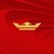 Real Bebidas da Amazonia Ltda. logo