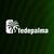 Fedepalma logo