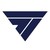 TSI Consulting Services logo