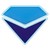PT DIAMOND INTERNATIONAL INDONESIA logo