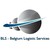 BLS - Belgium Logistic Services logo