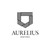 Aurelius Ventures Fund logo
