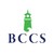 Brandywine Counseling & Community Services, Inc. logo