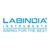 Labindia Instruments Pvt. Ltd. logo