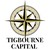 Tigbourne Capital Ltd logo