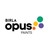 Birla Opus logo